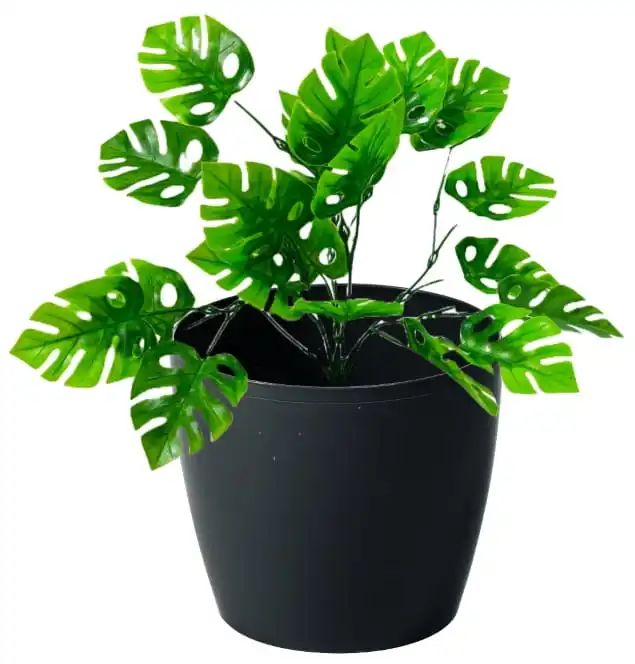 Kunststof pot 18x16cm Magnolia zwarte decoratieve deksel