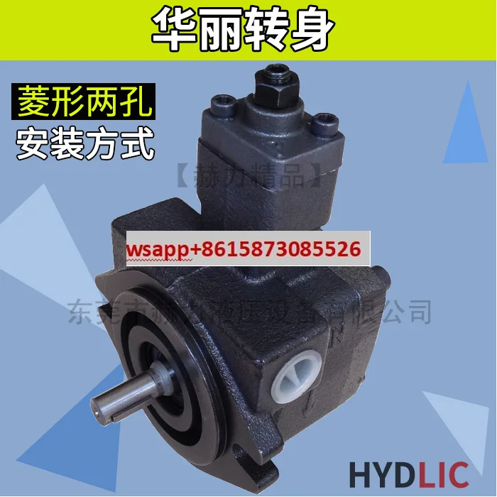 

VP20 Variable Vane Oil Pump Hydraulic Pump Heli VP - 20/15/12 - FA3 SF-20-D