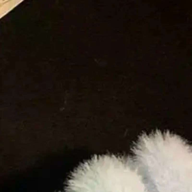 لطيف الحلو القوس قفازات قطيفة قفازات مقاومة للبرودة طالب شتاء دافئ خمسة أصابع قفازات النساء الإكسسوارات هدايا عيد الميلاد