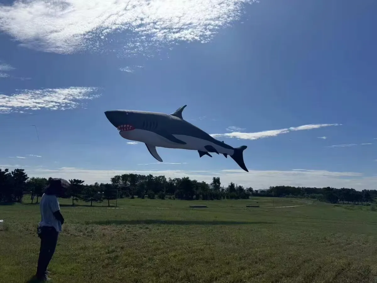Neuankömmling, weich, aufblasbar, 12 m, Power Shark Kite Wäsche für Erwachsene, hochwertiger Ripstop-Nylon-Show-Drachen-Anhänger