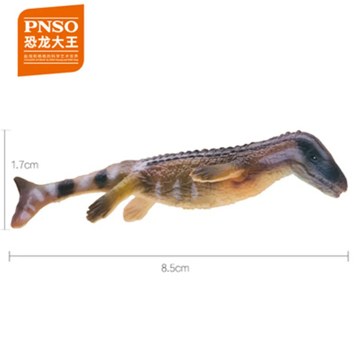 Pnso Ankylosaurus Proceratosaurus Olorotitan Tuojiangosaurus Odontochelys Liaoceratops Dakosaurus Cryolophosaurus Dinosaurus Gift