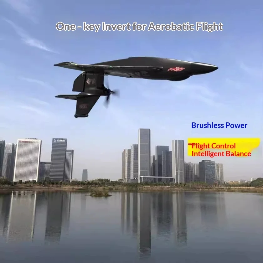 6CH RC Aircraft H650 Raptor Brushless Motor Fixed Wing Sea Land Air Tri-Phobic Waterproof EPP Glider