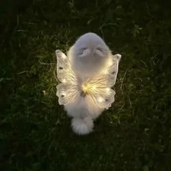 Dog wings glowing butterfly back decoration puppy summer clothes chest back decoration small dog Pomeranian Teddy Bigbear