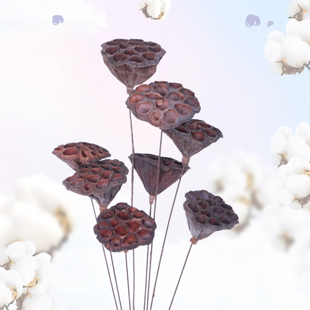 

Decorative Natural Plants DIY Crafting Accessories Household Floral Bouquet Dried Flower Mini Lotus