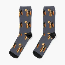 Welsh Terrier Beautiful Dog Socks Rugby gym short Men's Socks Luxury Women's