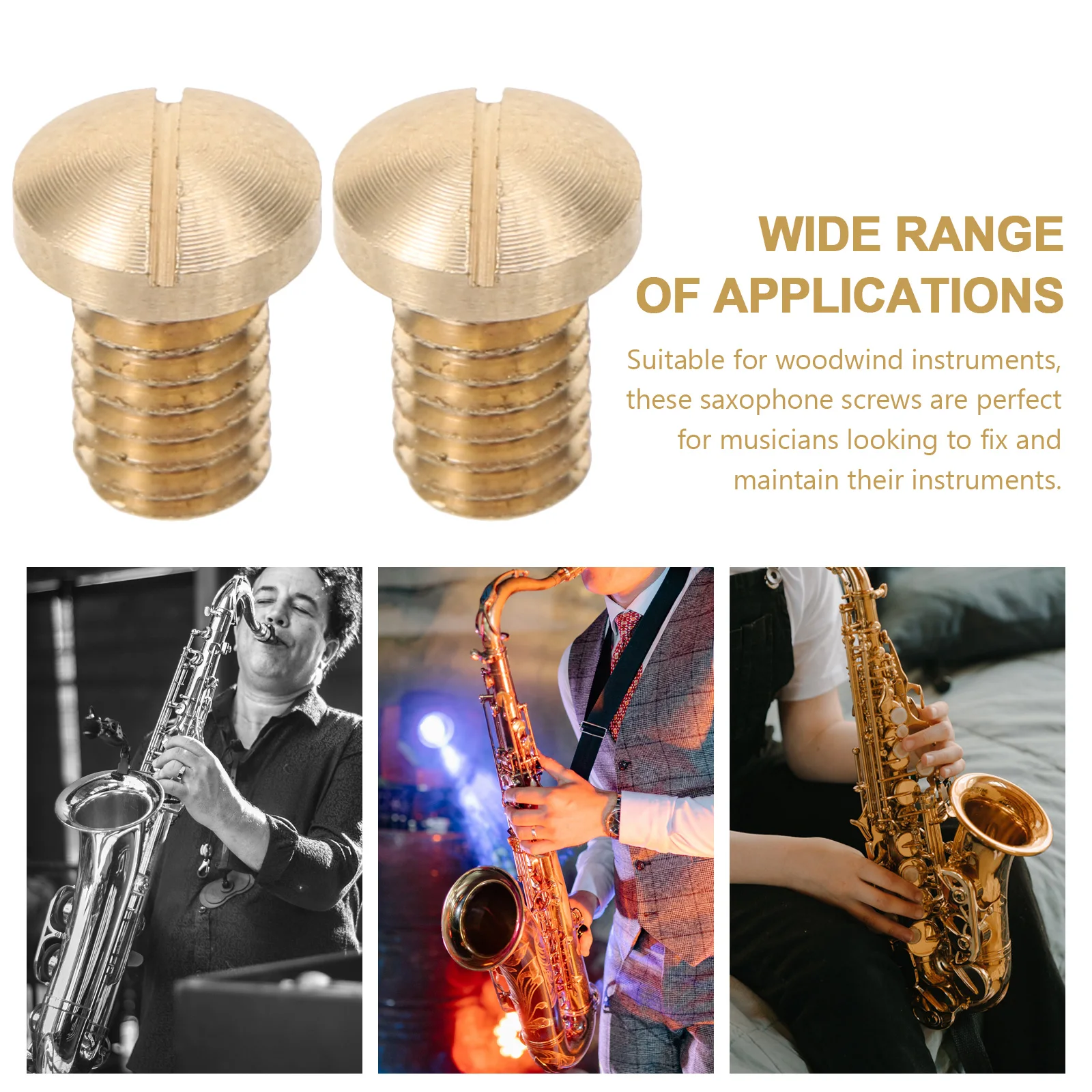 

10pcs Saxophone Screws Repair Kit Brass Alto Tenor Woodwind Instrument Replacement Parts Maintenance Accessories