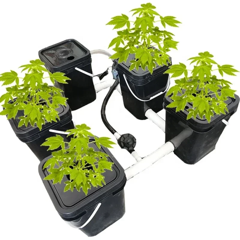 

system for growing tomatoes hydroponic system used grapple bucket