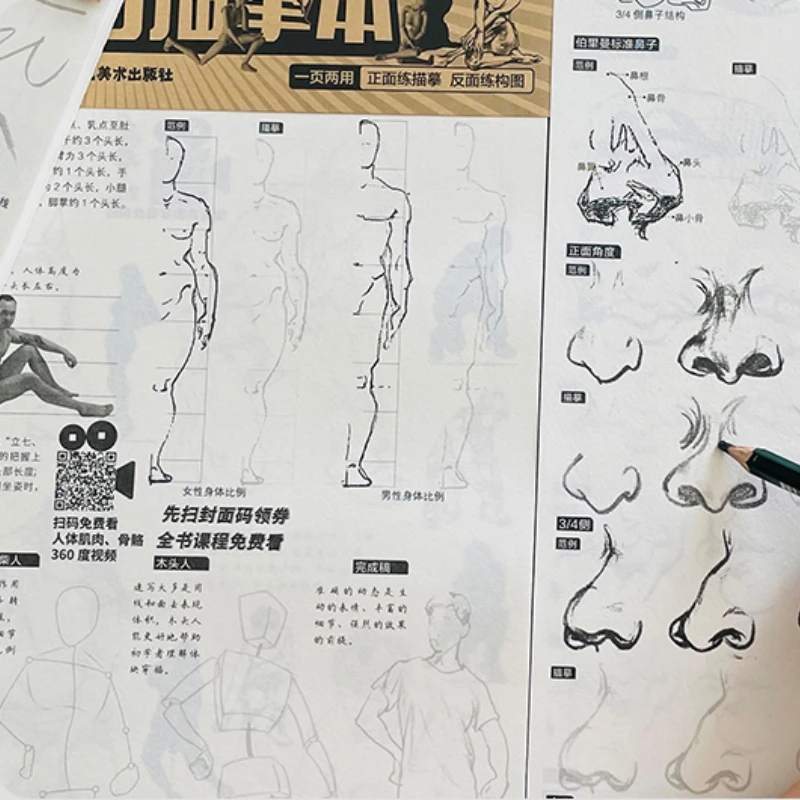 Sketch Painting Book Local Dynamic Decomposition Tutorial Single Player Scene Combination Sketchbook with Detailed Explanation