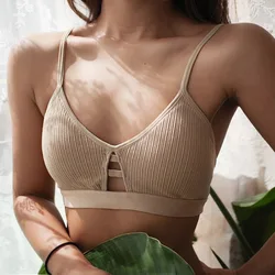 Ladies Hollow Bra, Wireless Hollow Underwear, Fitness, Crop Top, Soft Bra, Seamless Underwear