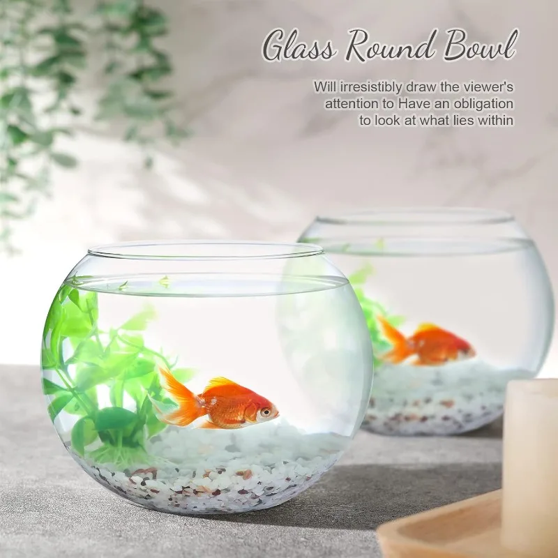 Clear Bowl Glass Vase Glass Bubble Glass Round Vase Clear Bubble Planter Terrarium Fish Fish Vase