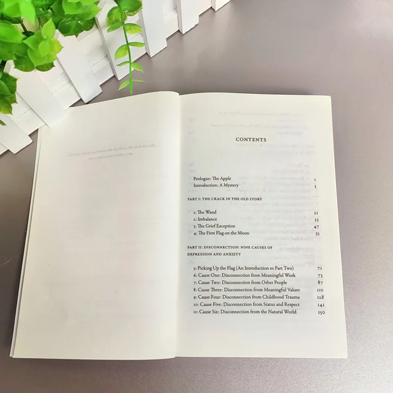 Connessioni perdute Perché non depresse e come trovare lo spero Libri in inglese Libros Livros