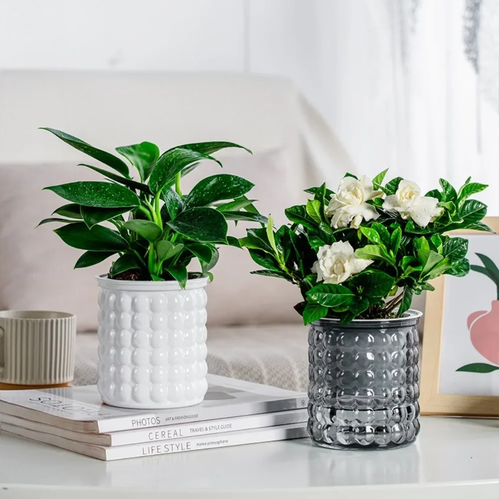 

Hydroponic Plants Pot Self Watering Flowerpot Indoor Mini Succulent Planter Tabletop Vase Self-watering Home Office Bonsai Decor