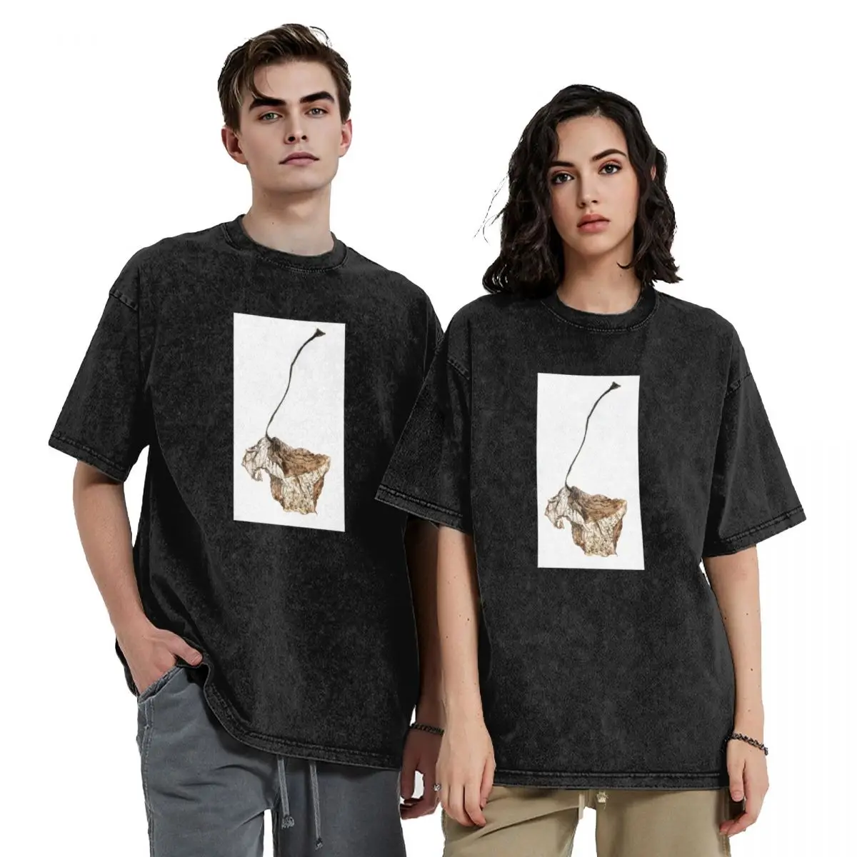 

Dried Hosta Leaf T-Shirt anime t shirts anime stuff funny meme t-shirts blue archive mens graphic t-shirts anime