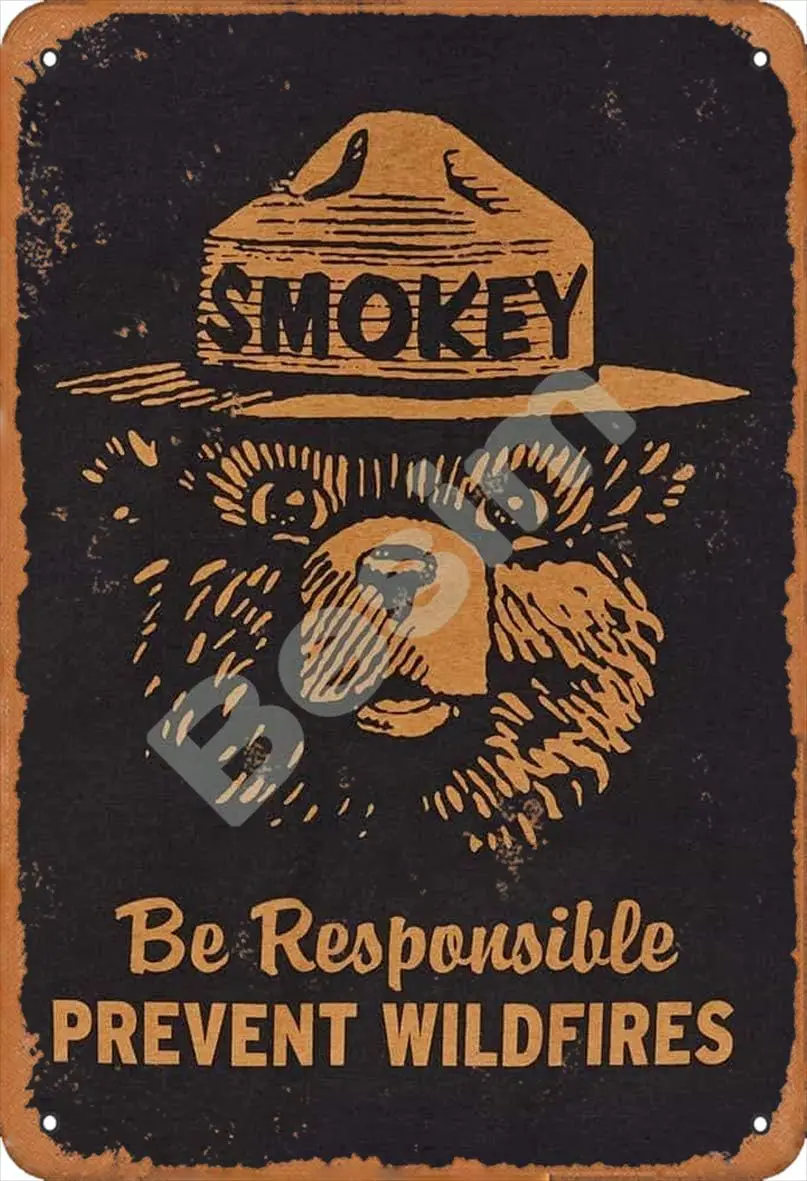 QSHPO Smokey Bear Metal Tin Sign Be Responsible Prevent Wildfires Posters Forest Home Farmhouse Plaque Wall Decor 16x24 Inches