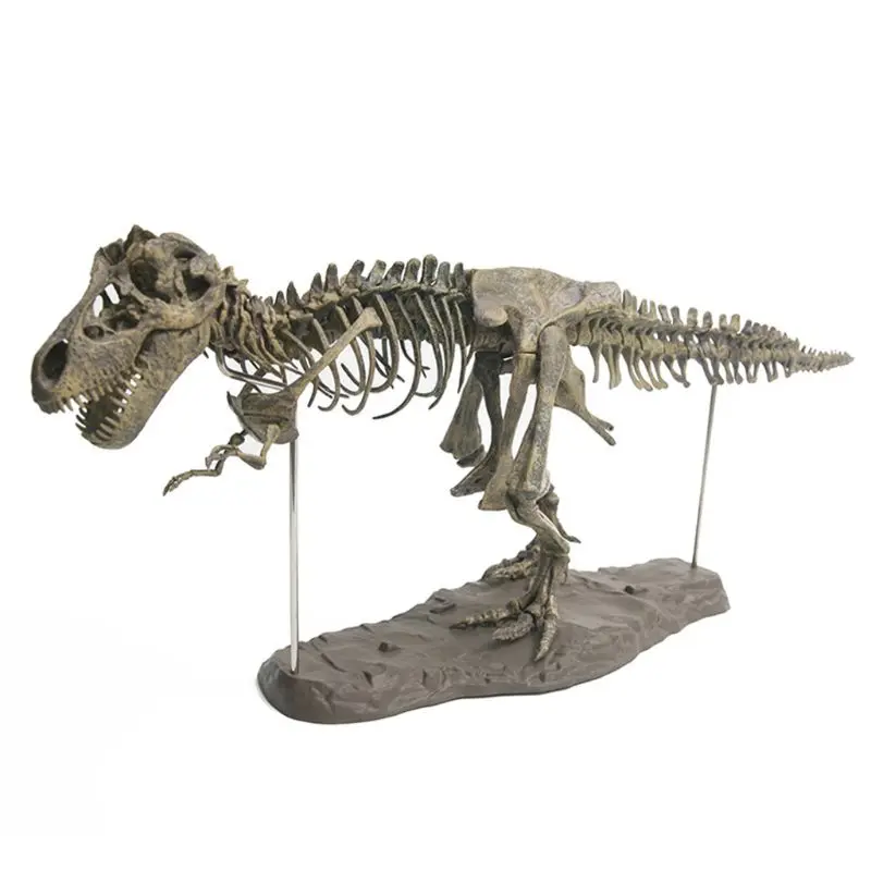 27’’ Simulation Dinosaur Skeleton Figurine PVC Model Collector Tyrannosaurus Dino Interactive Automobile Home Decoration