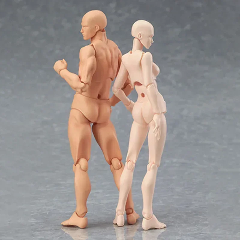 Sketch Draw Body Kun Body Chan Action Figure Model Toy Archetype Ferrite Collection Standing Pose Movable Joint Statue Doll Gift