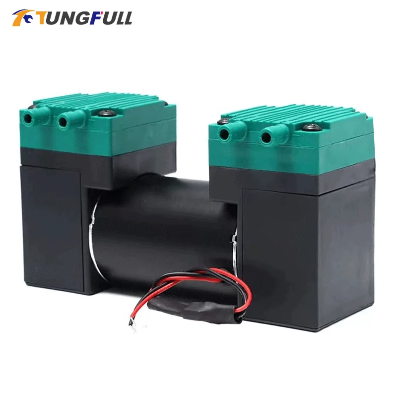 

Micro Vacuum Pump 12V 24V 220V 110V 15L/min Electric Pump Silent Small Air Pump Double Heads Diaphragm Pump Inflating Pump