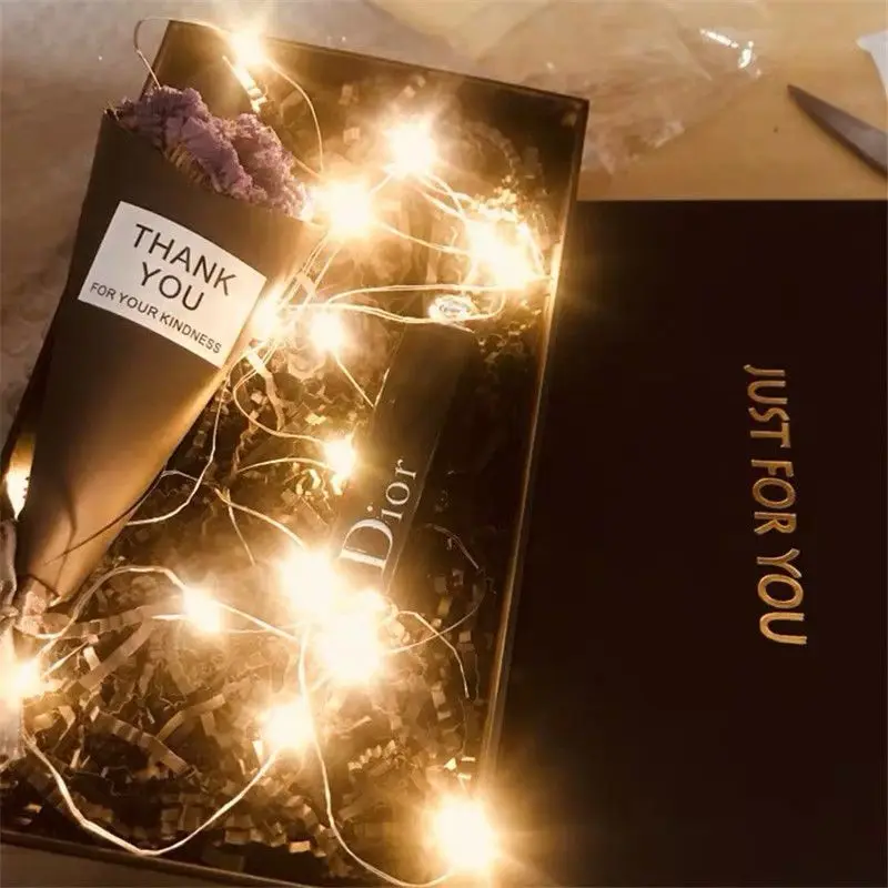 سلسلة أضواء LED USB 2M–30M - سلك نحاسي/فضي مقاوم للماء أضواء جارلاند الجنية لتزيين حفلات الزفاف في عيد الميلاد