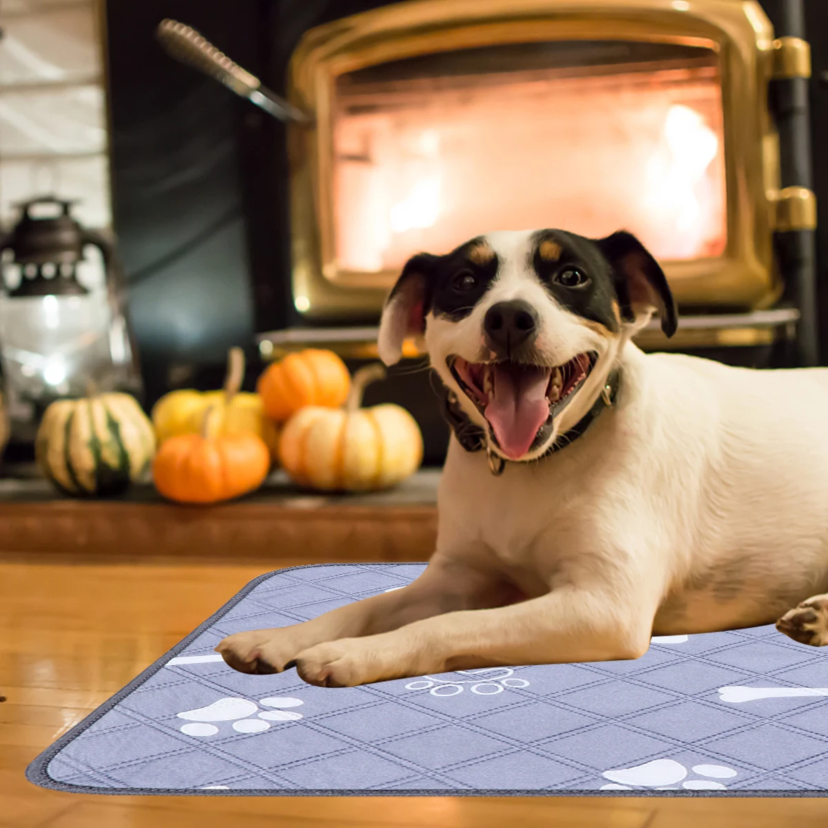 

Waterproof and Anti-slip Urine Pad Dog Cushion Pet Pee Mat Absorb Training Pads for Polyester
