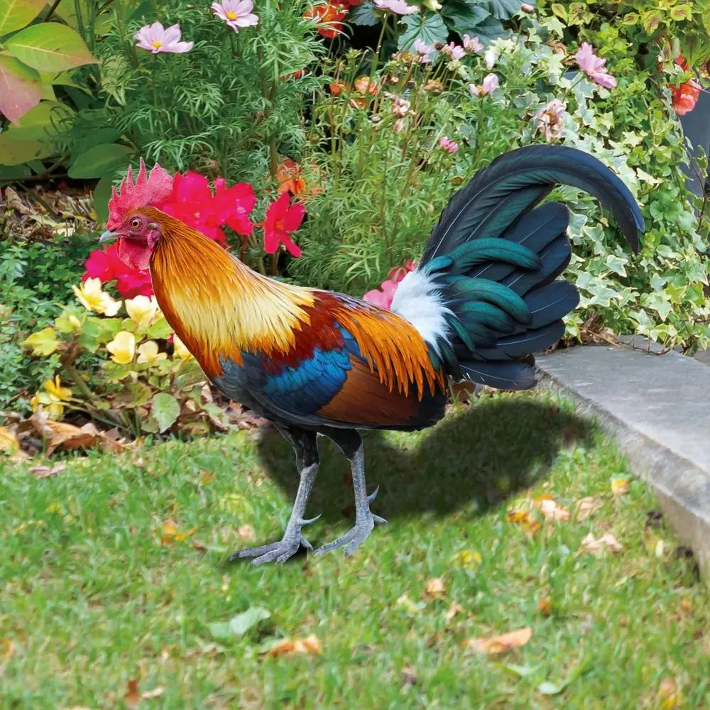 

Outdoor Realistic Acrylic Sculptures Chicken Decorations Garden Ornaments Garden Decoration Board Rooster Statues