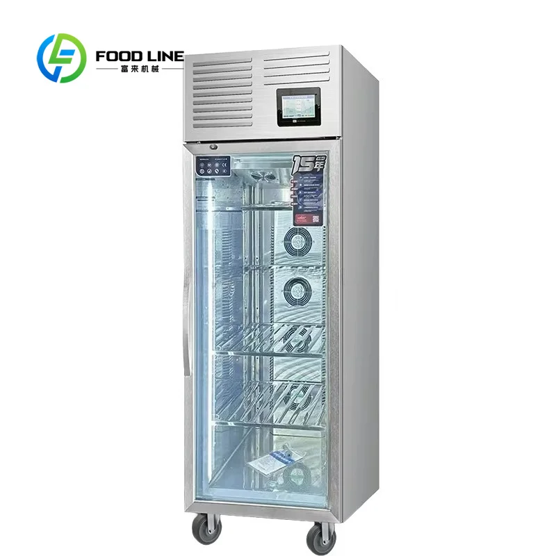 customized Stainless Steel Automatic Thawing Cabinet Commercial High Voltage Electric Field Frost Free Air Cooled Unit