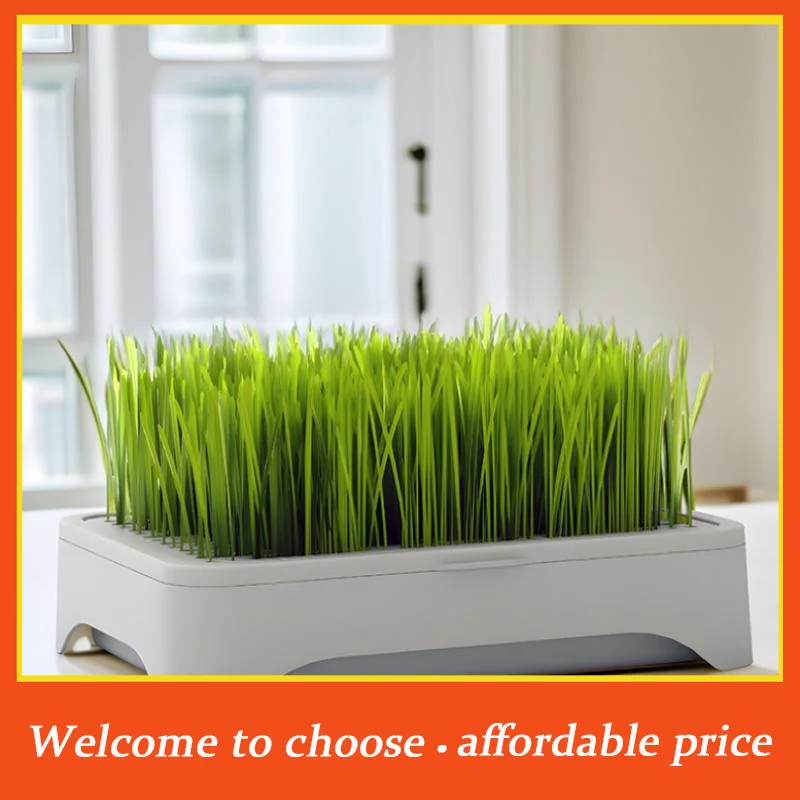**Pet Cat Grass Planting Basin Soilless Culture Wheat Seedling Pot Kitten Grass Hydroponic Device Horticultural Planting Pot'