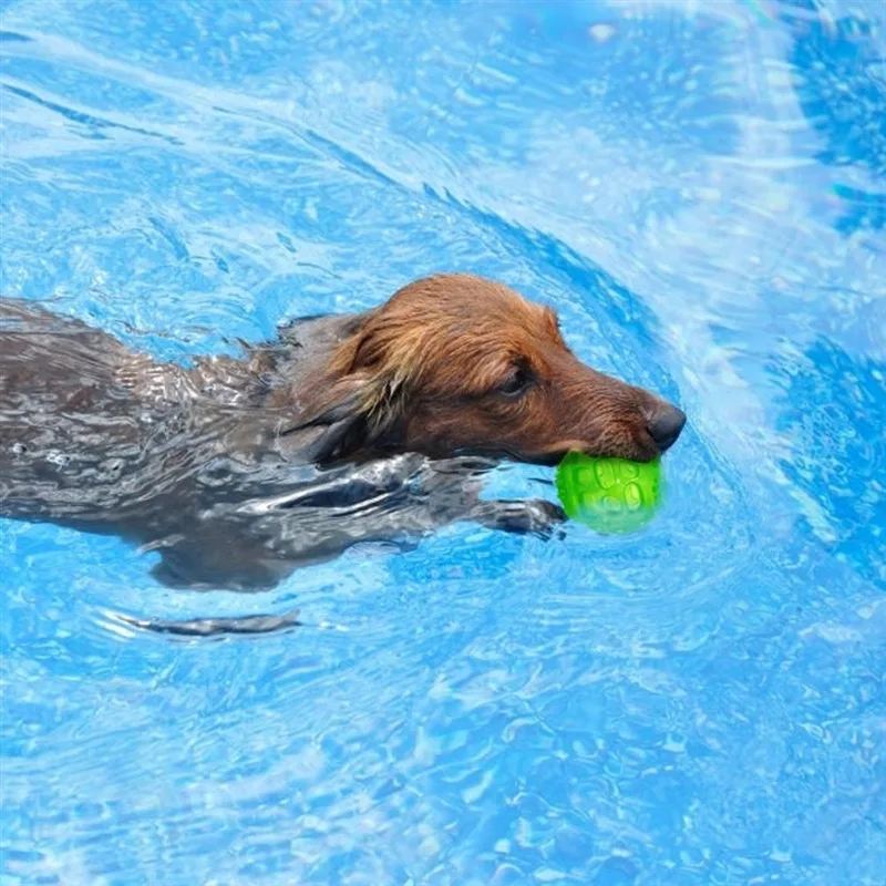Cão de estimação gato filhote de cachorro soando brinquedos polka estridente bolas de limpeza de dentes jogando bolas de animais de estimação mastigar brinquedo pet mastigar acessórios
