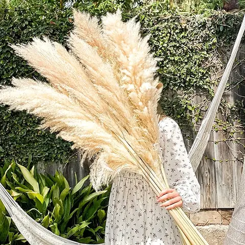 8 best sales शराबी पम्पास - №5