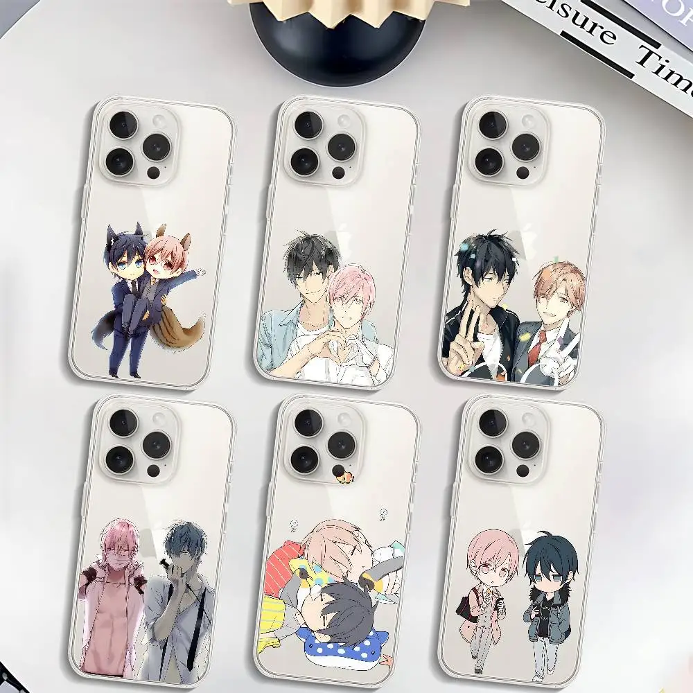 Ten Count Handyhülle für iPhone 17 16 15 11 14 12 13 16 Pro Max X XR XS Max Plus Transparente Weiche Schutzhülle