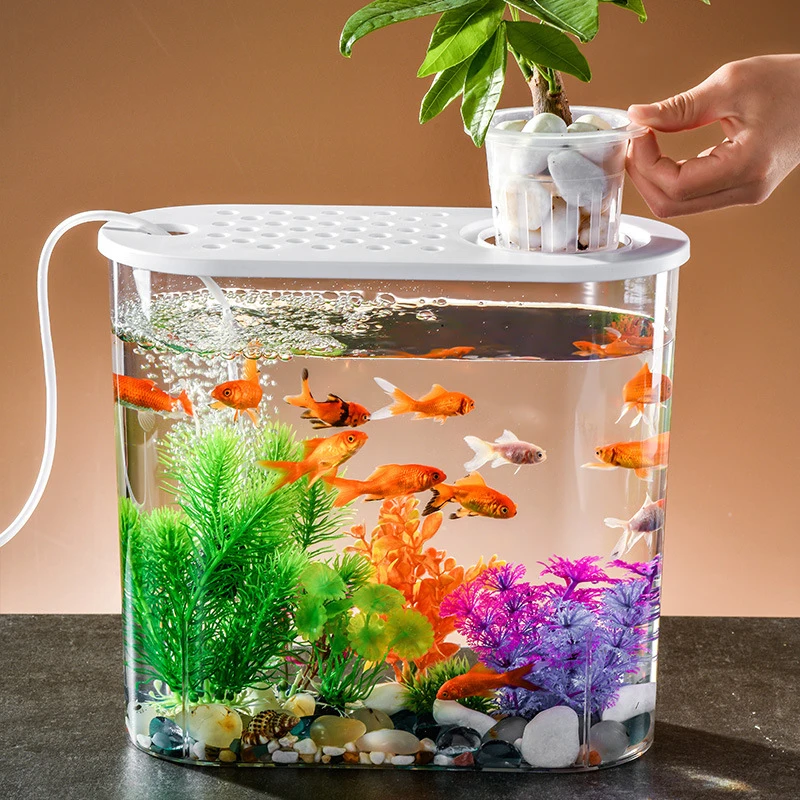 Creative Desktop Goldfish Tank With Green Plants Transparent Small Fishbowl With Cover Oval Aquarium Turtle Hydroponic Fish Tank