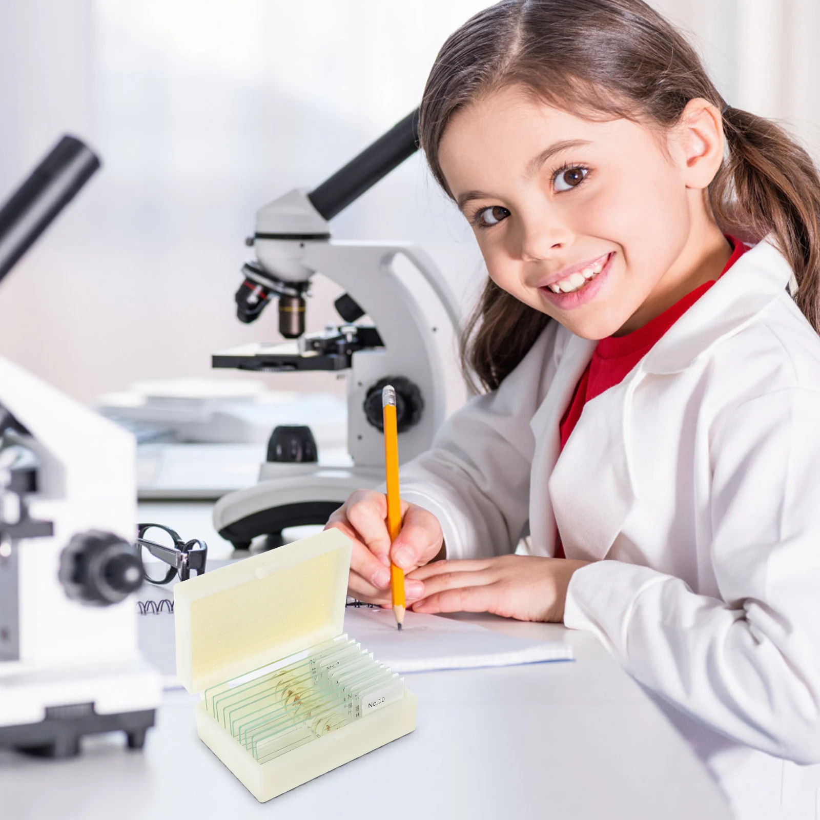 

10pcs Insect Slides Kids Microscope Classroom Must Haves Education Gifts Biology Knowledge Practical Design Safe