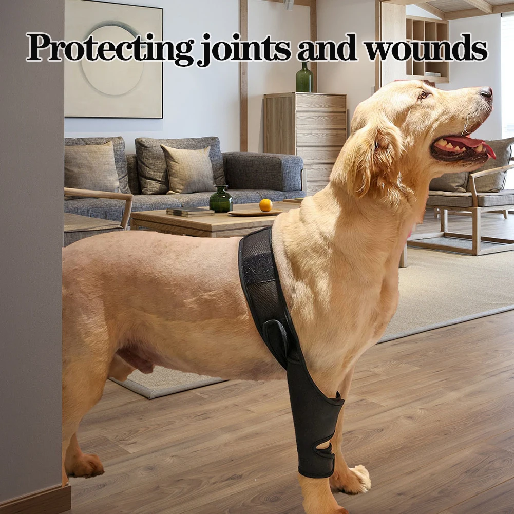 Universal Hip Brace For Dogs Dog Knee Brace Made With Breathable And Elastic Fabric Knee Brace Dog Legs Protector Pet Supplies