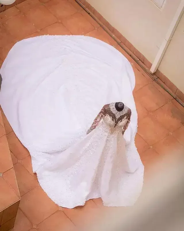 긴 소매 웨딩 드레스 맞춤 제작, 채플 트레인, 주얼 네크라인, 플러스 사이즈, 비치 크리스탈 비즈 장식, 핸드메이드