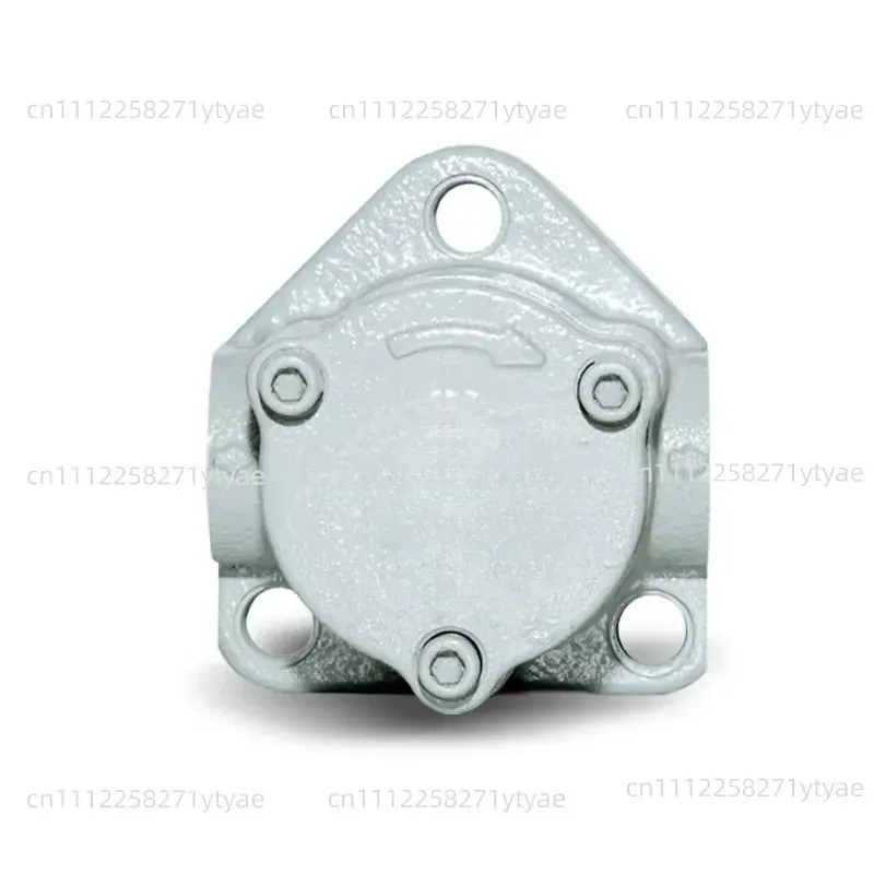 Suitable for Cycloidal Pump Machine Tool Lubrication Oil Pump Accessories, Model TOP-25A