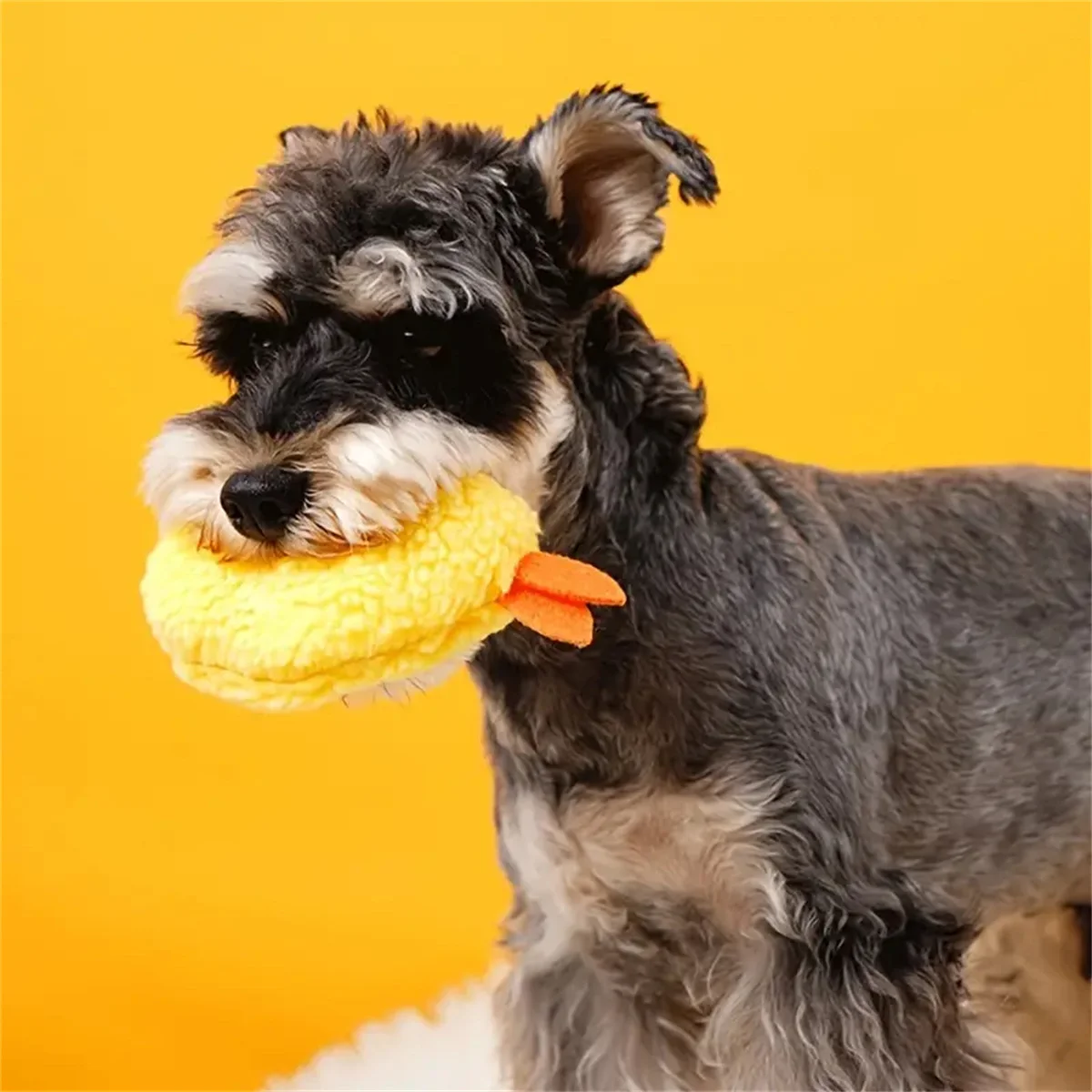 Gebratene Garnelen Tempura Hund Haustier Kauen Biss Quietschen Spielzeug niedlich gefüllt für Welpen spielen Terrier Hond Shiba Yorkshire Corgi – Detail 3