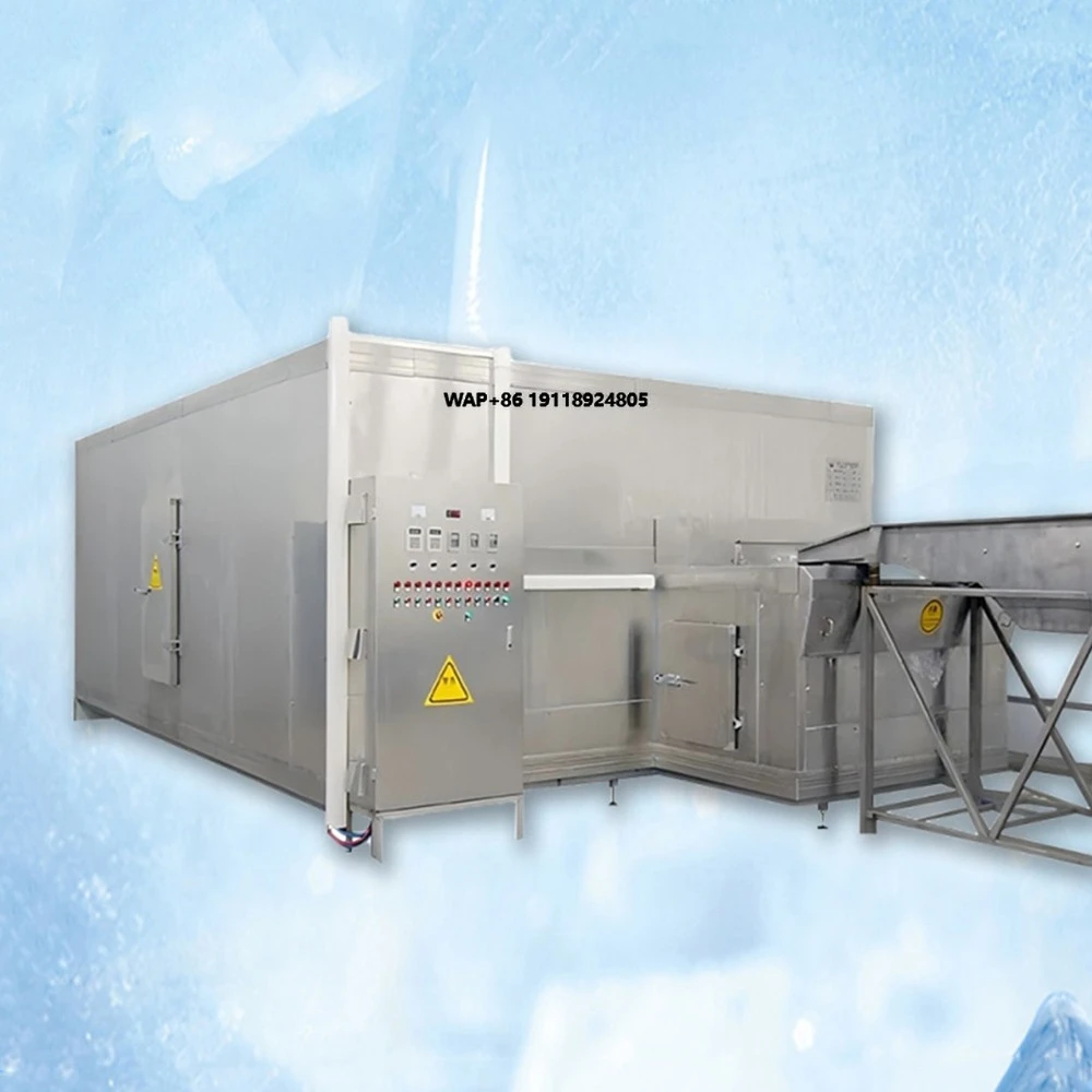 High Quality IQF Blast Equipment Quick Tunnel Freezer with Motor for Efficient Fruit and Vegetable Preservation