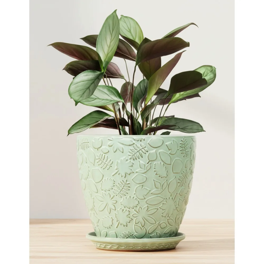 

10 Inch Ceramic Plant Pot with Drainage Holes & Saucer for Succulents Orchids Flowers Indoor Outdoor Garden