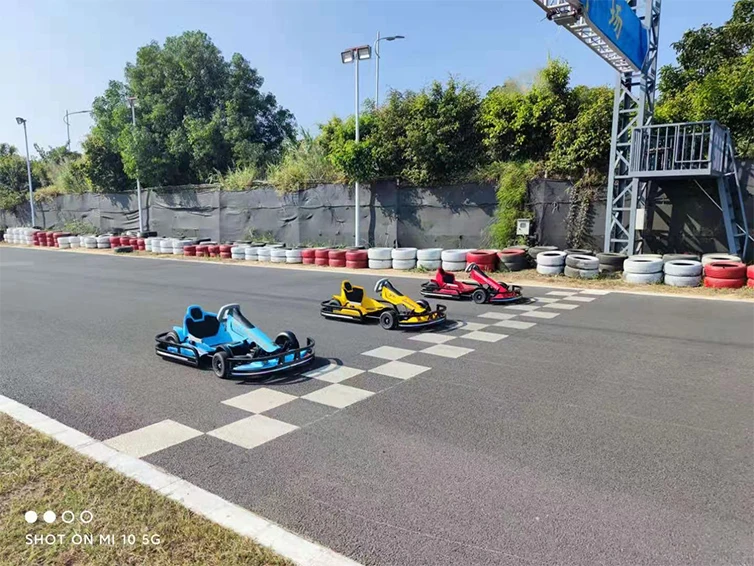 Top Racing Electric Go Karts For Adults Cheap Price Good Quality For Amusement Park Carting Club Off Road Go Kart For Kids