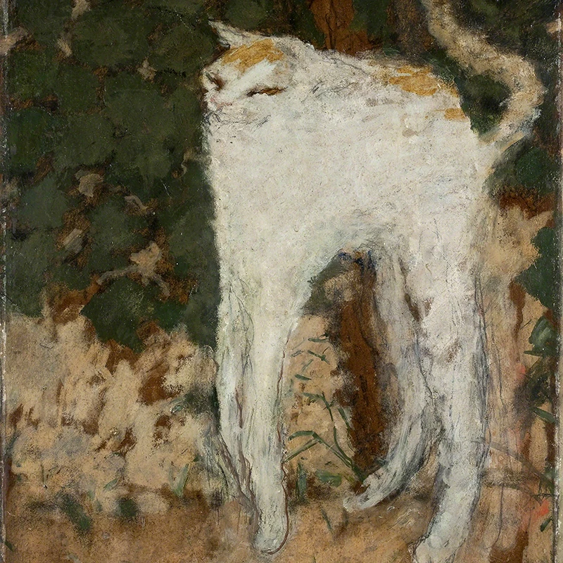 Pierre Bonnard Le C…