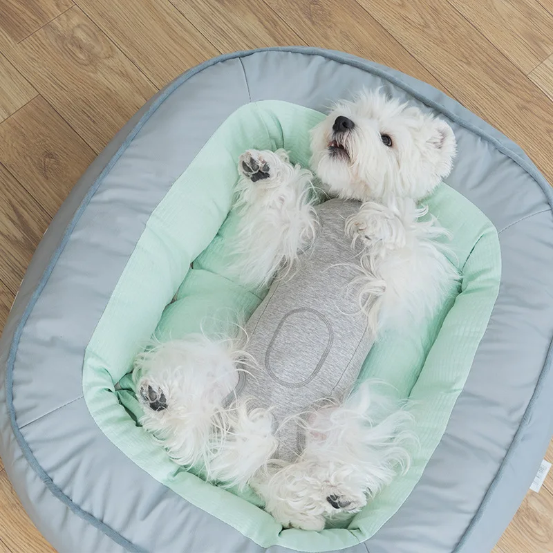 New Zippered Pet Recovery Suit, Elastic Post-Spay Dog Clothes for Small Dogs, Anti-Lick Cat Surgery Shirt