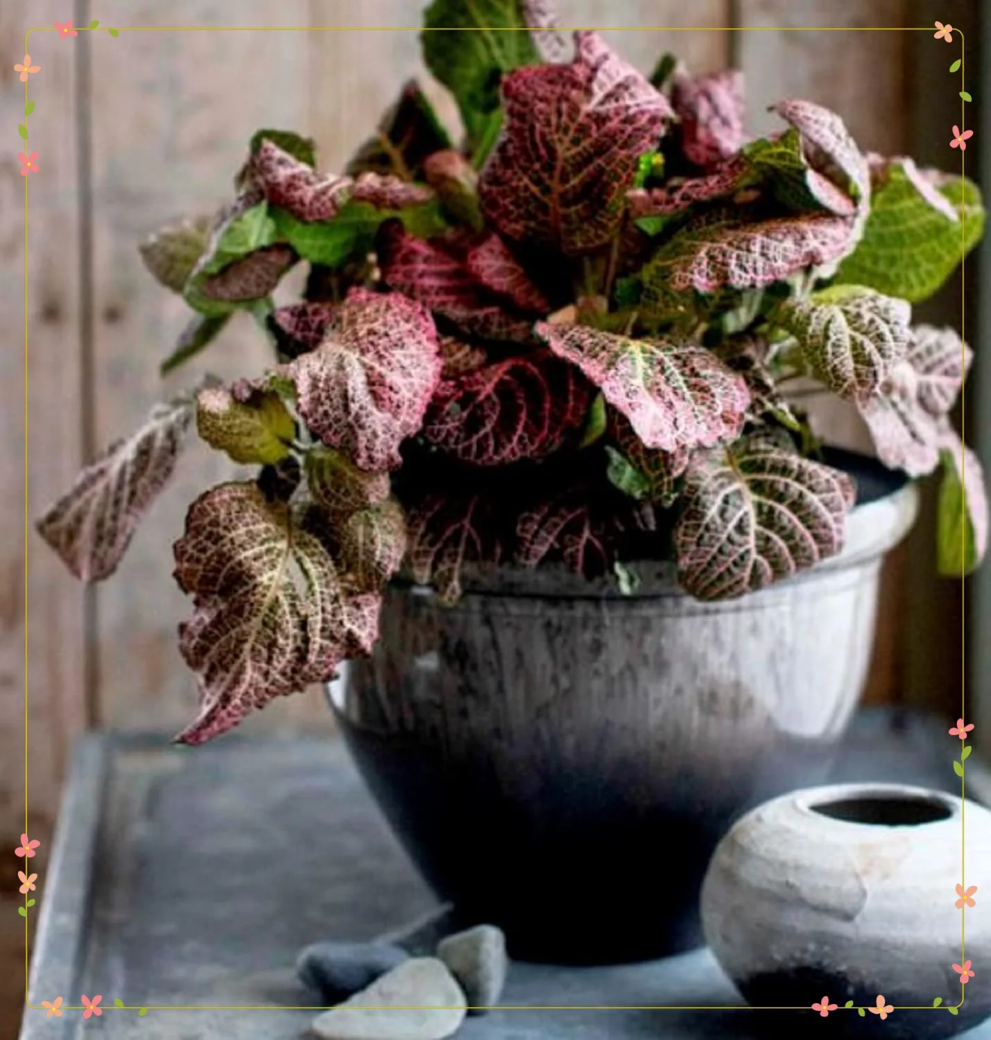 

UV Resistant Ceramic Planter, 9" Fog Gray Round Indoor Outdoor Decor Pot