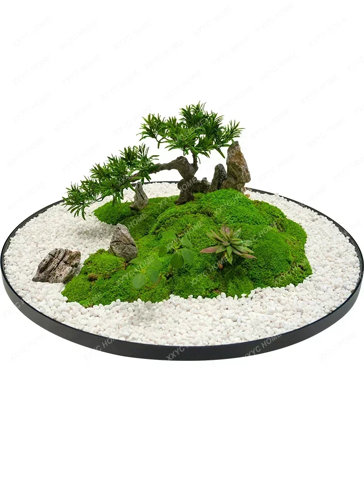 

Welcome Pine Large round Table Turntable Decoration Dining Table Eternal Moss Micro Landscape Table Flower