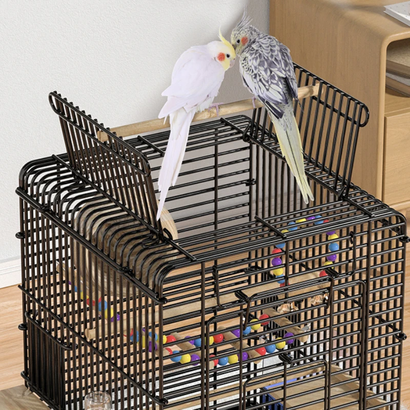 Nest Accessories Bird Cage Palomas Parrot Bird Rabbit Passaros House Hamster Feeder Gaiola Para Passaros Pet Furniture CY50BC