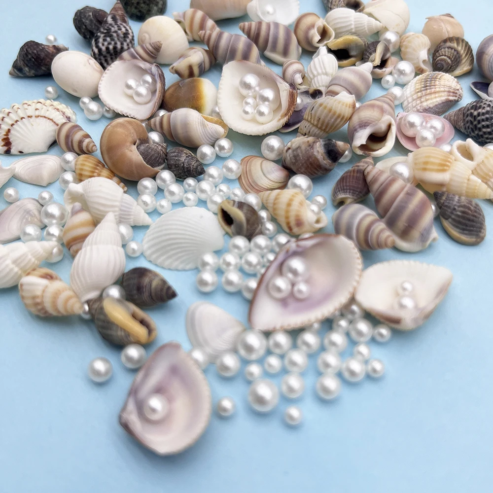 Resin Simulation Pearl and Shell For Home Decoration DIY Craft Photo Frame Friend Gifts Drift Bottle and Aquarium Decorations