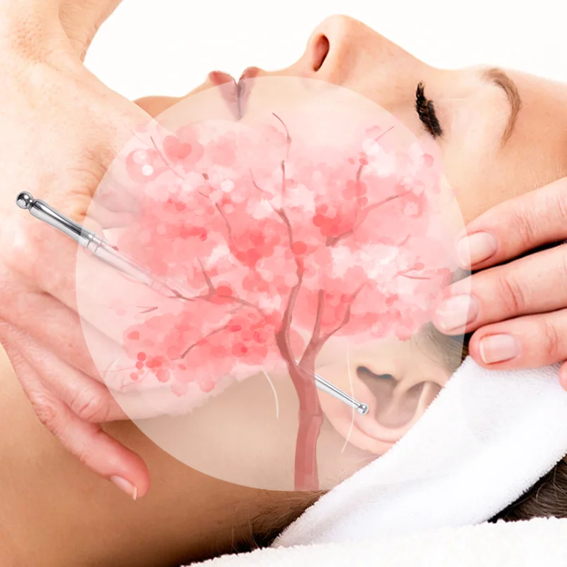 

1pcs Double Head Acupuncture Pen Facial Reflexology Tools Stainless Steel Trigger Point Massager Tool Deep Tissue Massage Tool