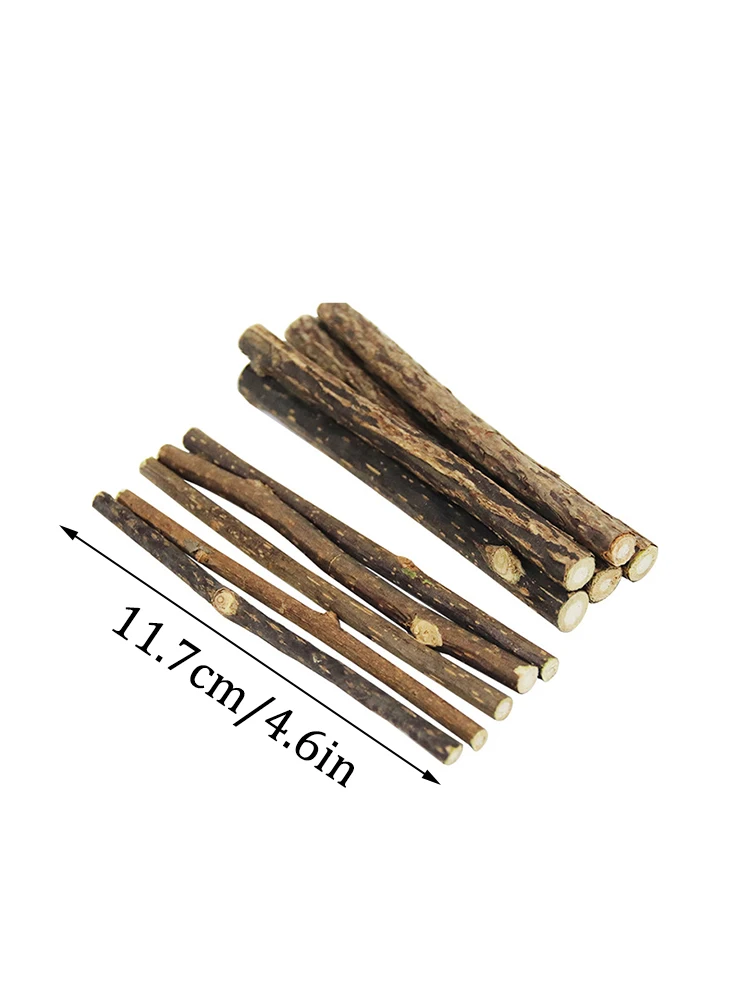 15pcs/30pcs Natural Matatabi Cat Catnip Toy Kitten Molar Chew Stick Pet Cleaning Teeth Cat Treat Toy Actinidia Silvervine image 3