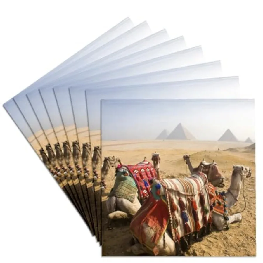 

CST_70918_4 Egypt Cairo Camels Desert Sands of Giza Pyramids-AF14 DBR0039-Dave Bartruff-Ceramic Tile Coasters Set of 8