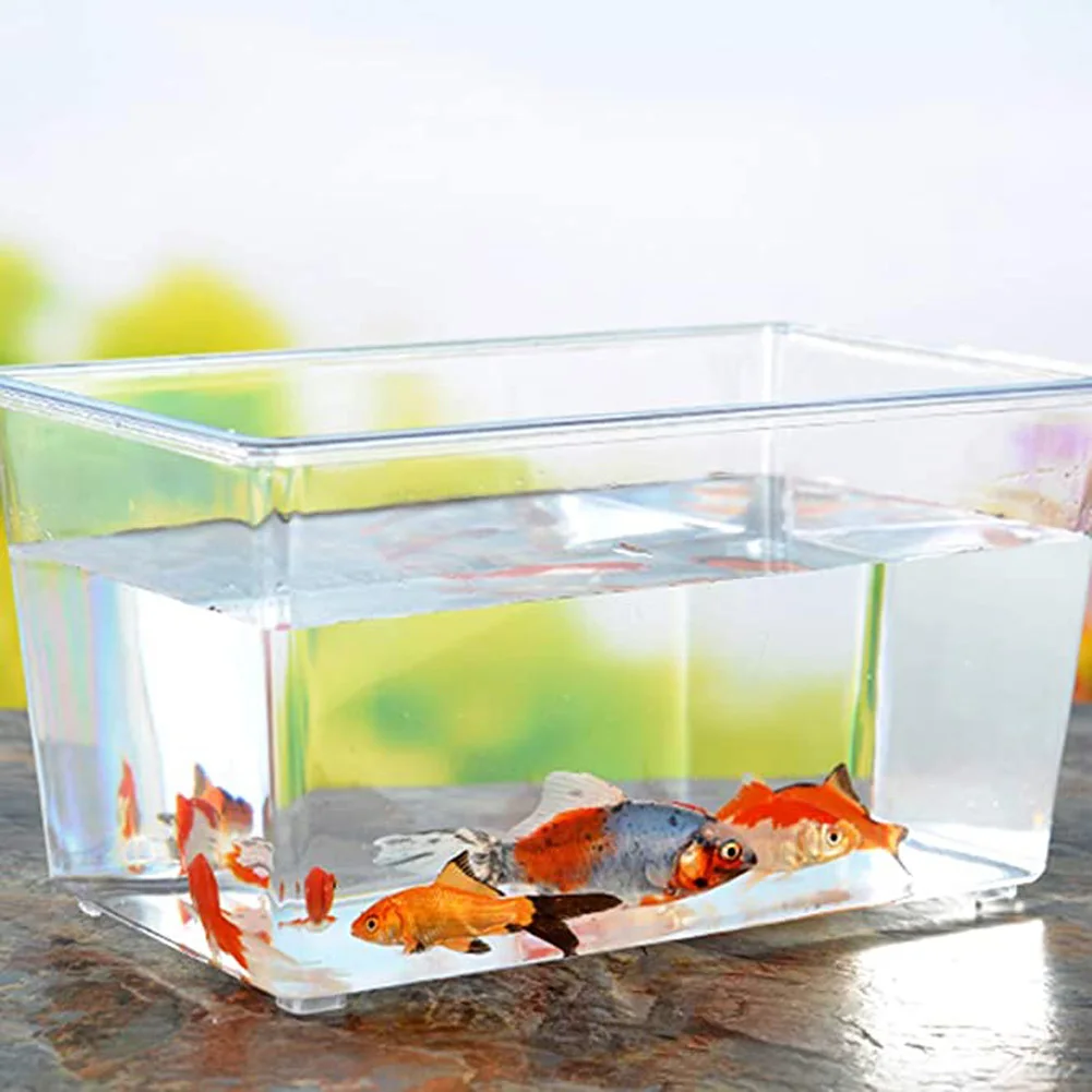 Portable Pet Breeding Box Transparent Tortoise Cylinder Goldfish Bowl Random Color Wholesale