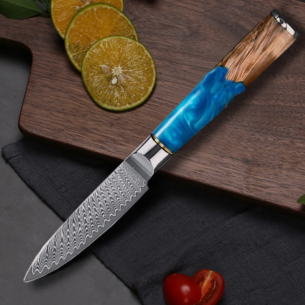 Coltello da cucina da 3.5 pollici VG10 coltello da frutta affilato in acciaio damasco per tagliare frutta e verdura coltello da cucina