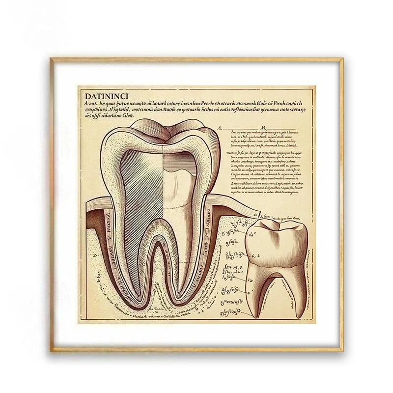 Tooth Implant Anatomy Tooth Correction Orthodontics 24 Posters Pictures Canvas Wall Art Home Decor for Living Room Decoration